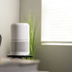 Best Travel Air Purifiers for Hotel Rooms