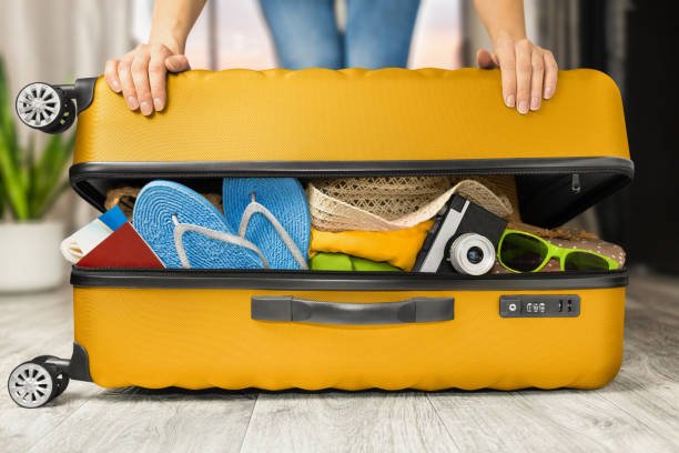 Best Packing Cubes for Families